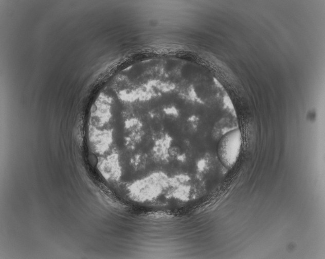 X0000116860644201002021107