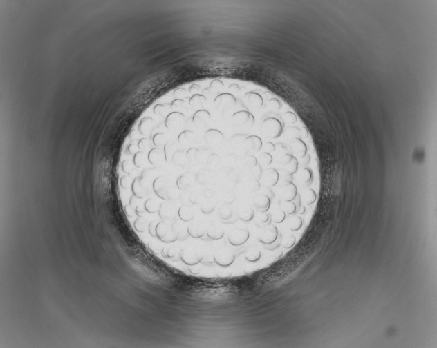 X0000116860646201002021107