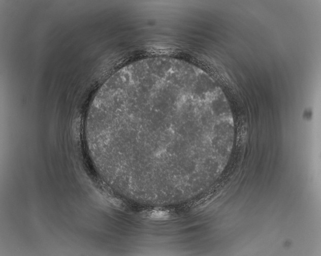 X0000116860647201002021107