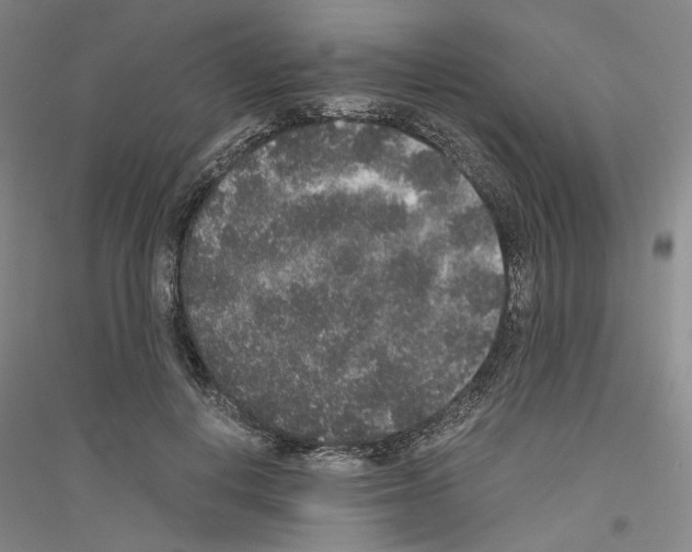 X0000116860648201002021107