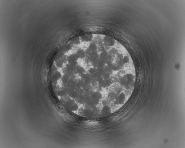 X0000116860651201002021107