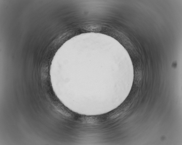 X0000116860652201002021107