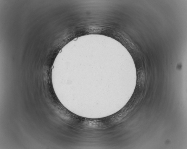 X0000116860655201002021107