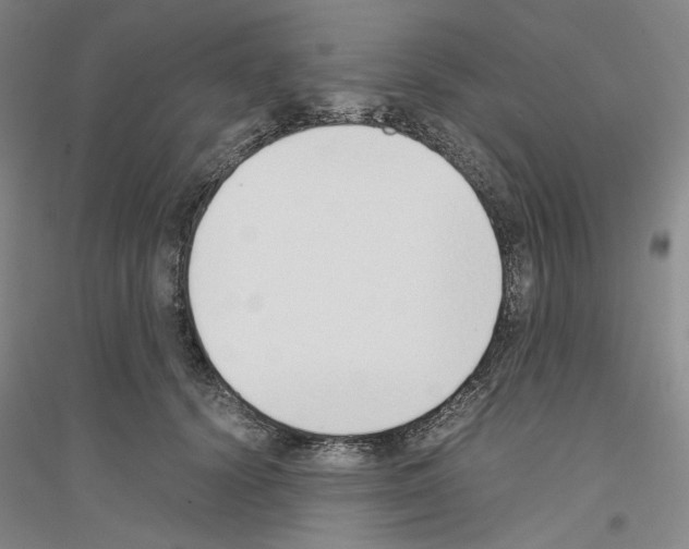 X0000116860656201002021107