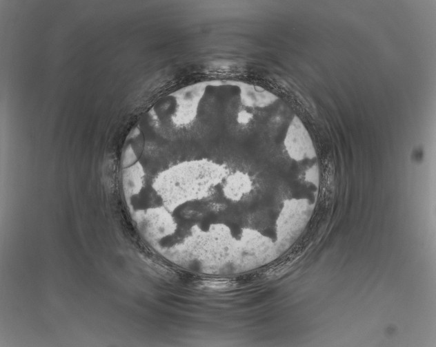 X0000116860659201002021107