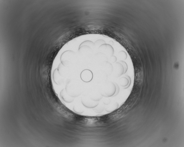 X0000116860662201002021107