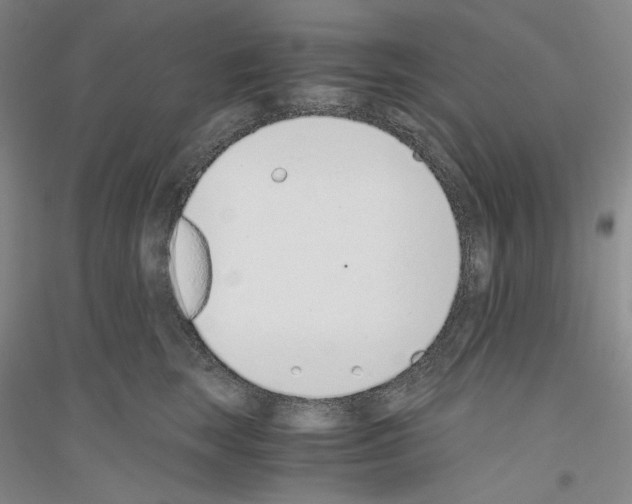 X0000116860663201002021107