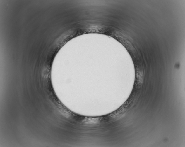 X0000116860665201002021107