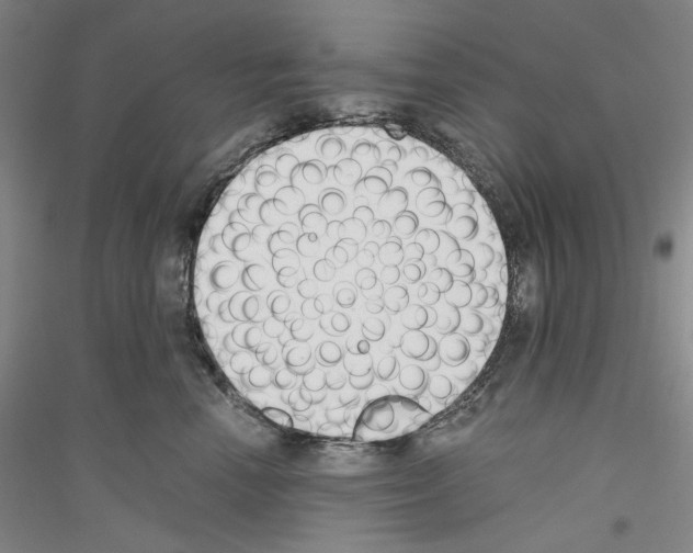 X0000116860666201002021107