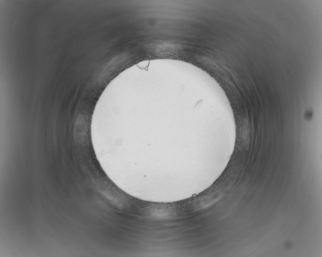 X0000116860667201002021107