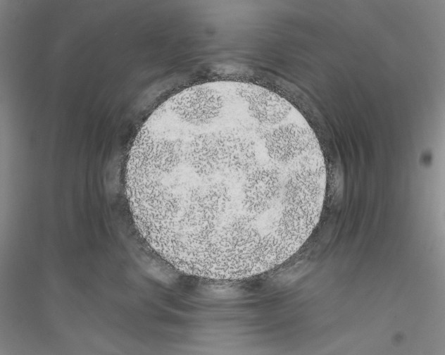 X0000116860668201002021107