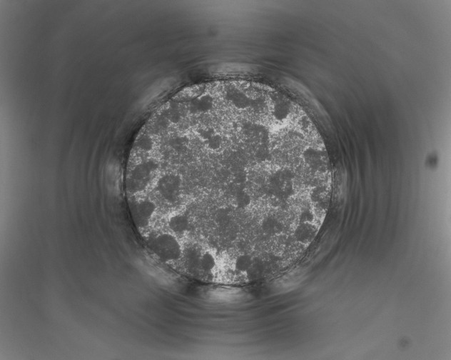 X0000116860669201002021107