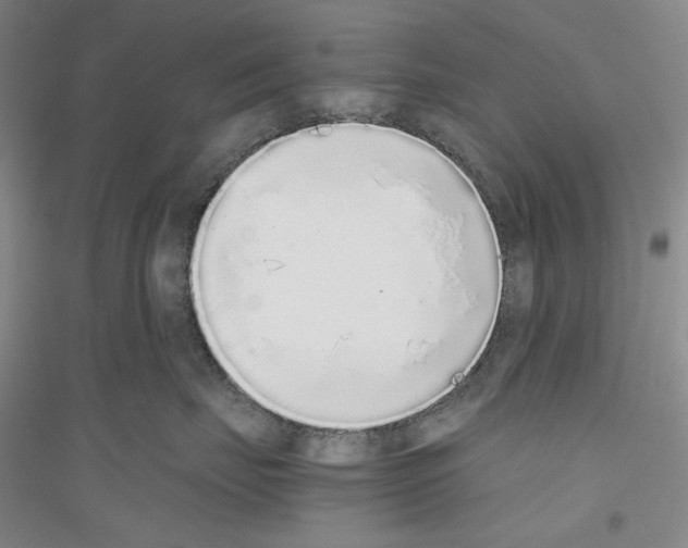 X0000116860671201002021107