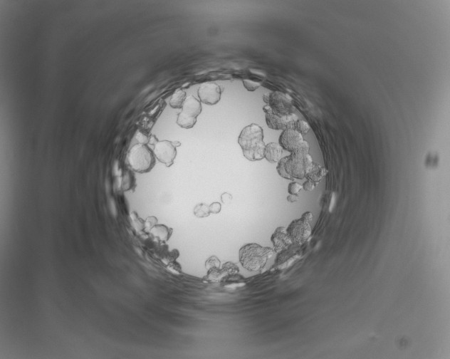 X0000116860672201002021107