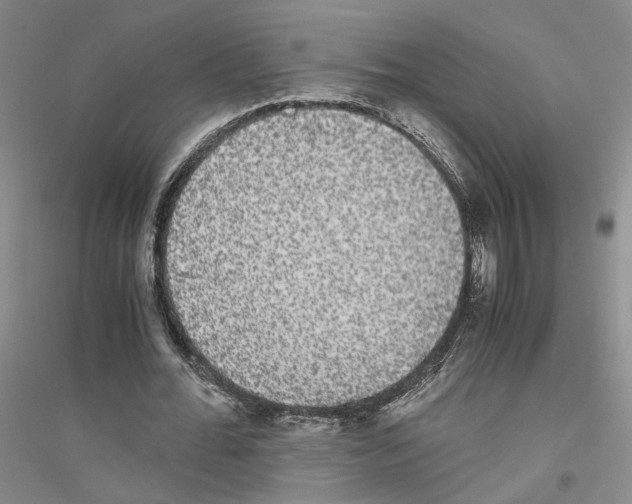 X0000116860676201002021107