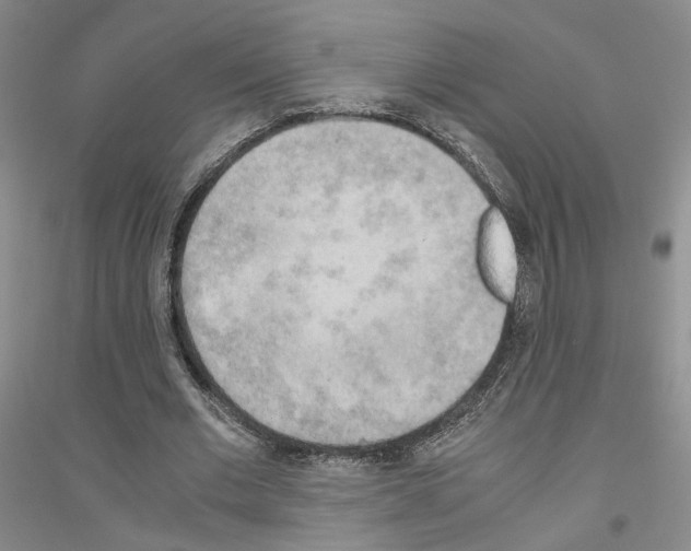 X0000116860677201002021107