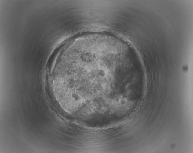 X0000116860679201002021107