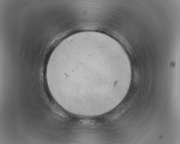 X0000116860681201002021107