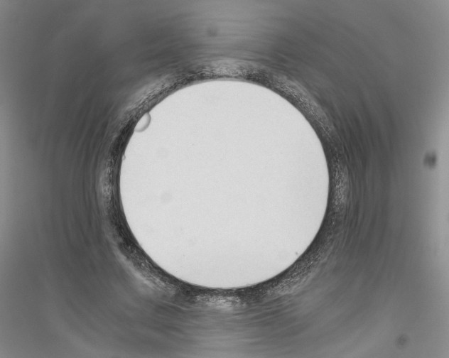 X0000116860683201002021107