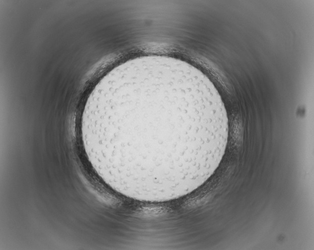 X0000116860686201002021107