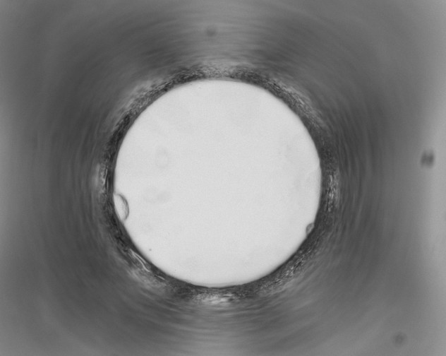 X0000116860687201002021107