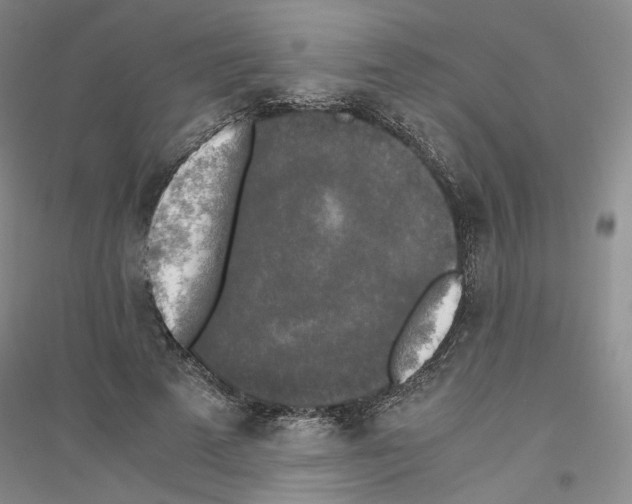 X0000116860689201002021106