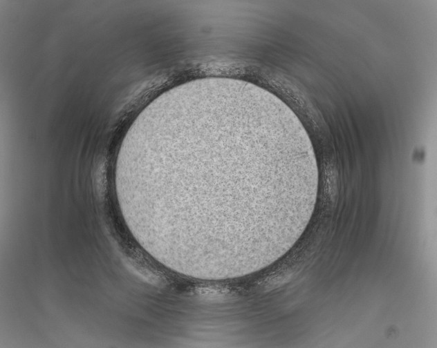 X0000116860690201002021106