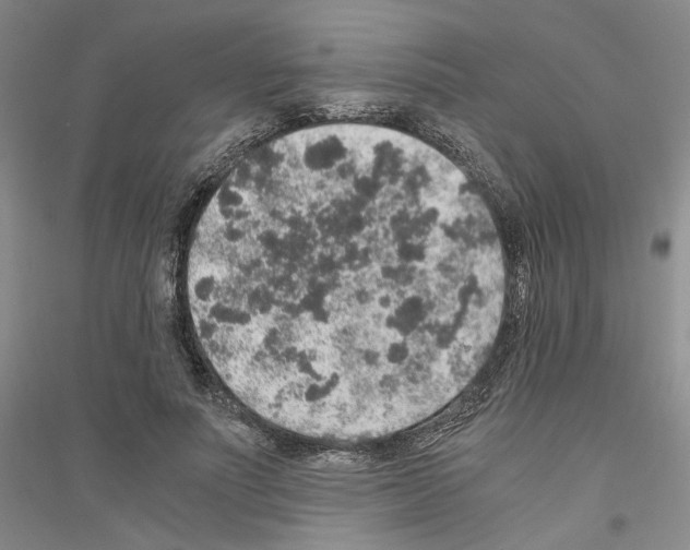 X0000116860691201002021106