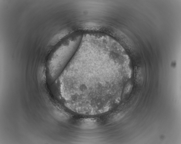 X0000116860692201002021106