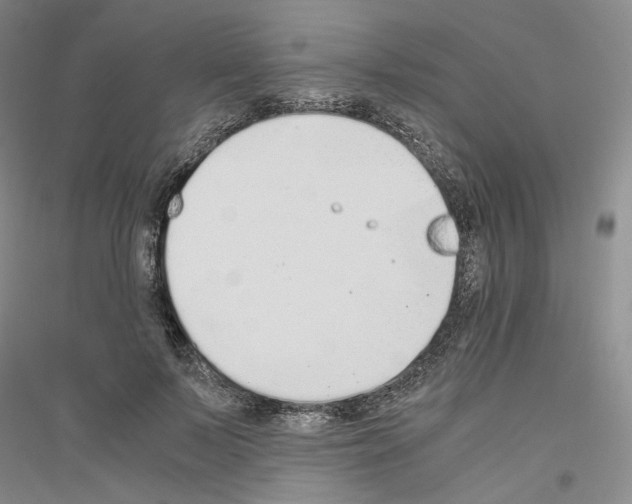 X0000116860695201002021106