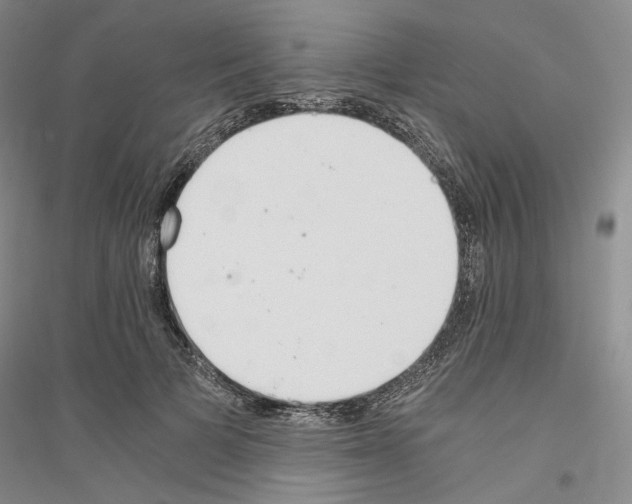 X0000116860697201002021106