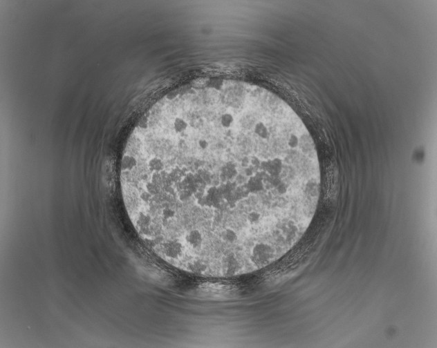 X0000116860699201002021106