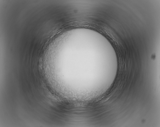 X0000116860700201002021106