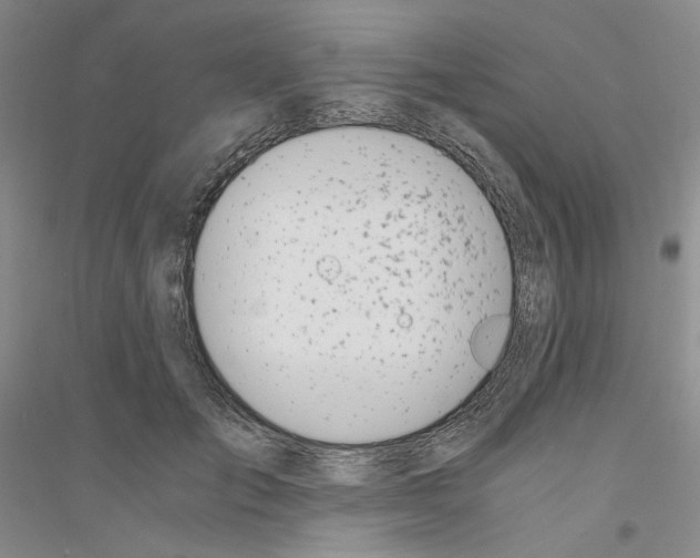 X0000116860701201002021106