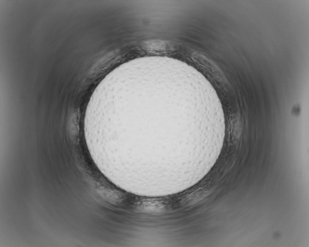 X0000116860702201002021106