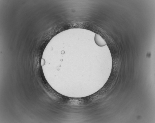 X0000116860703201002021106