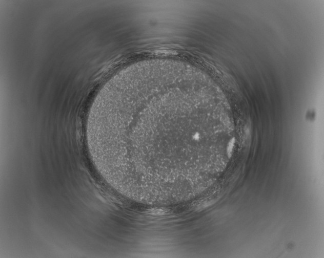 X0000116860704201002021106