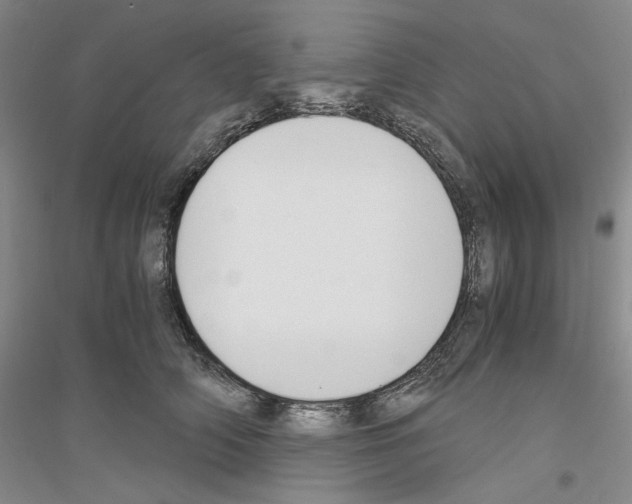 X0000116860706201002021106