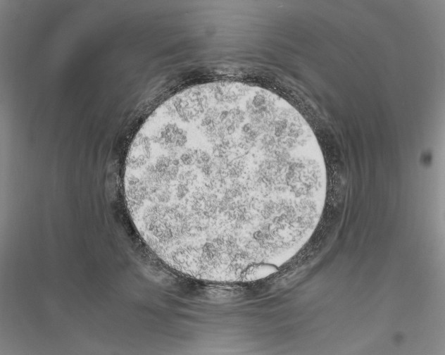 X0000116860707201002021106