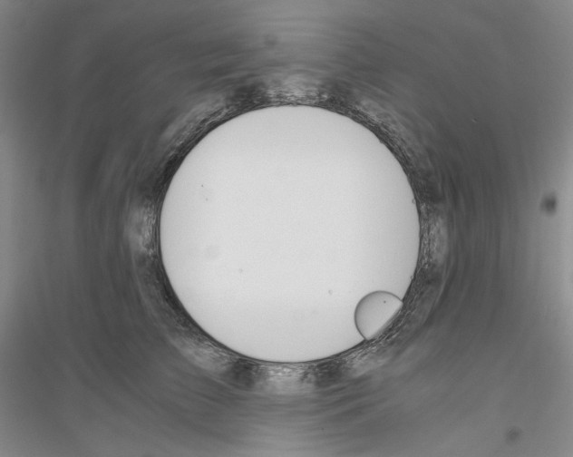 X0000116860709201002021106