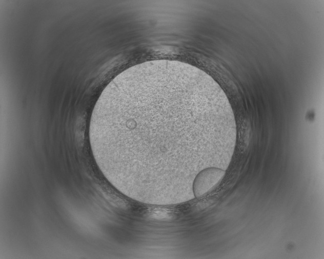 X0000116860710201002021106