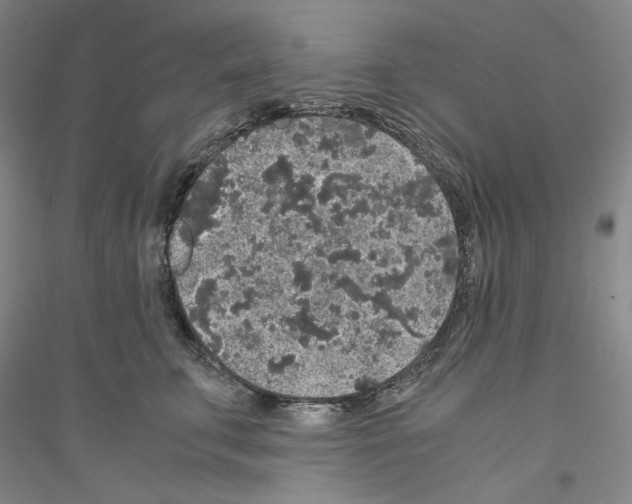 X0000116860711201002021106