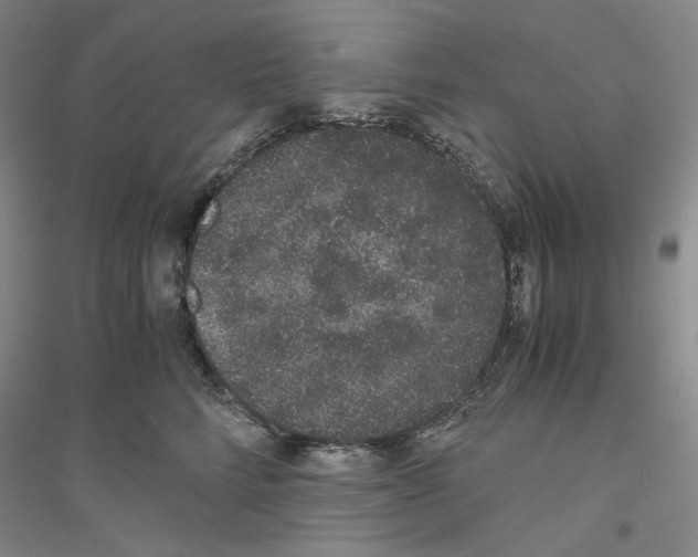 X0000116860712201002021106