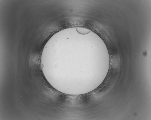 X0000116860713201002021106