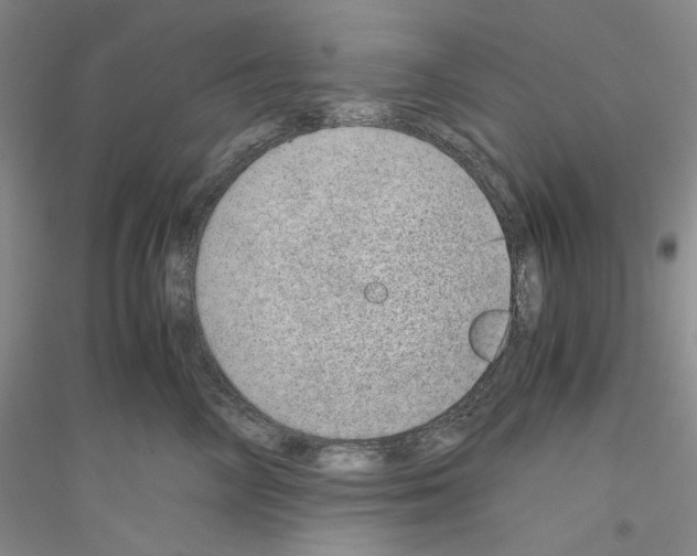 X0000116860714201002021106