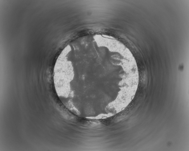 X0000116860715201002021106