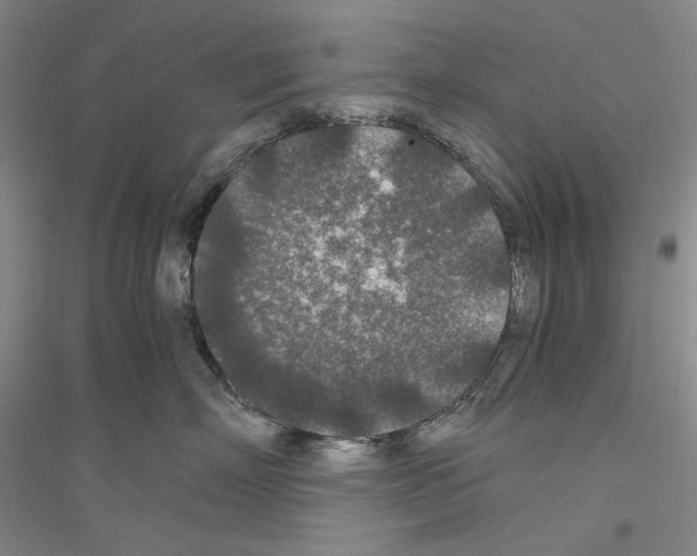 X0000116860718201002021106