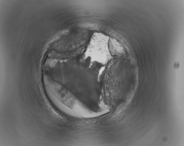 X0000116860721201002021105