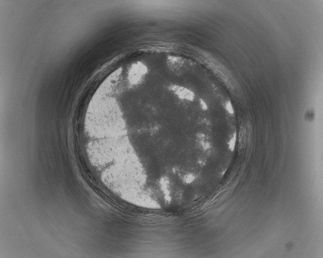 X0000116860722201002021105