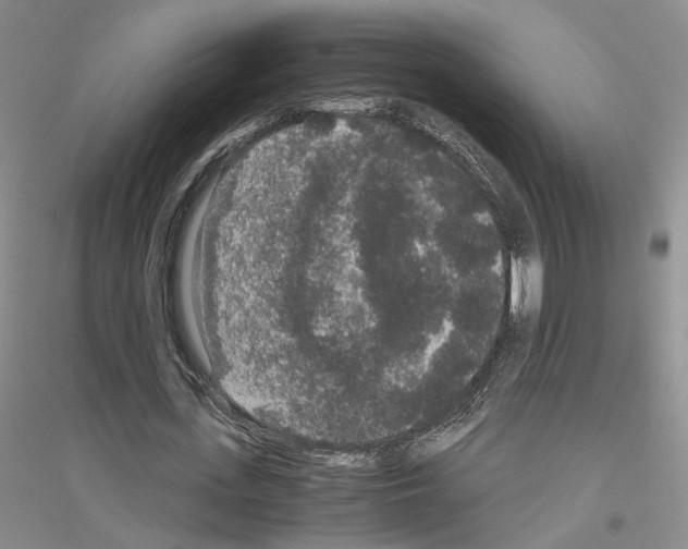 X0000116860723201002021105